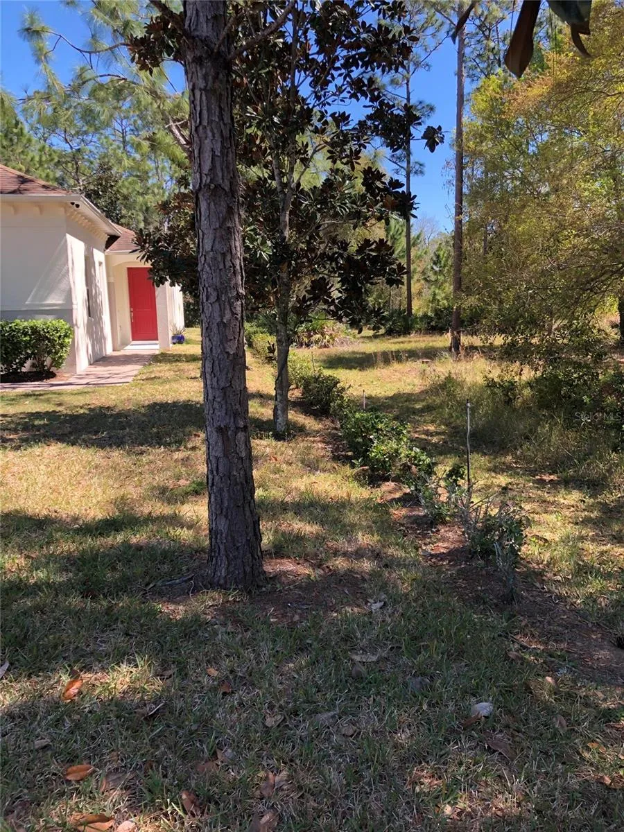2301 AVELLINO AVE, photo 2