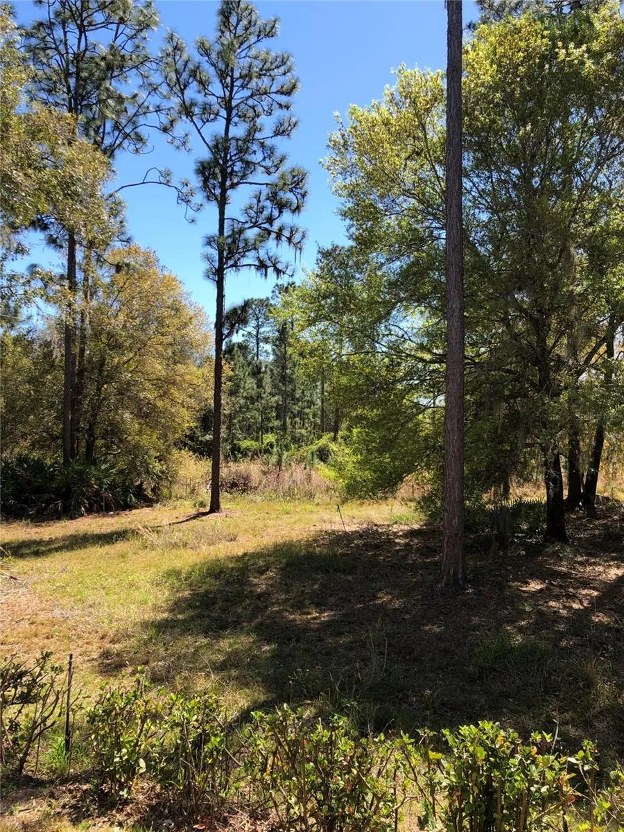 2301 AVELLINO AVE, photo 27