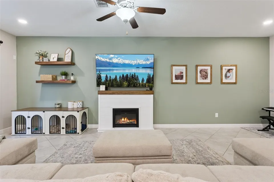 8816 SHADY PAVILLION CT, photo 3