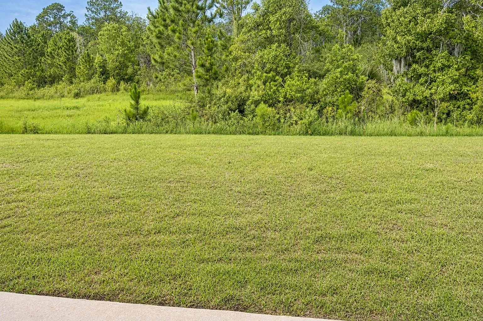 7592 BENT TREE LOOP, photo 20