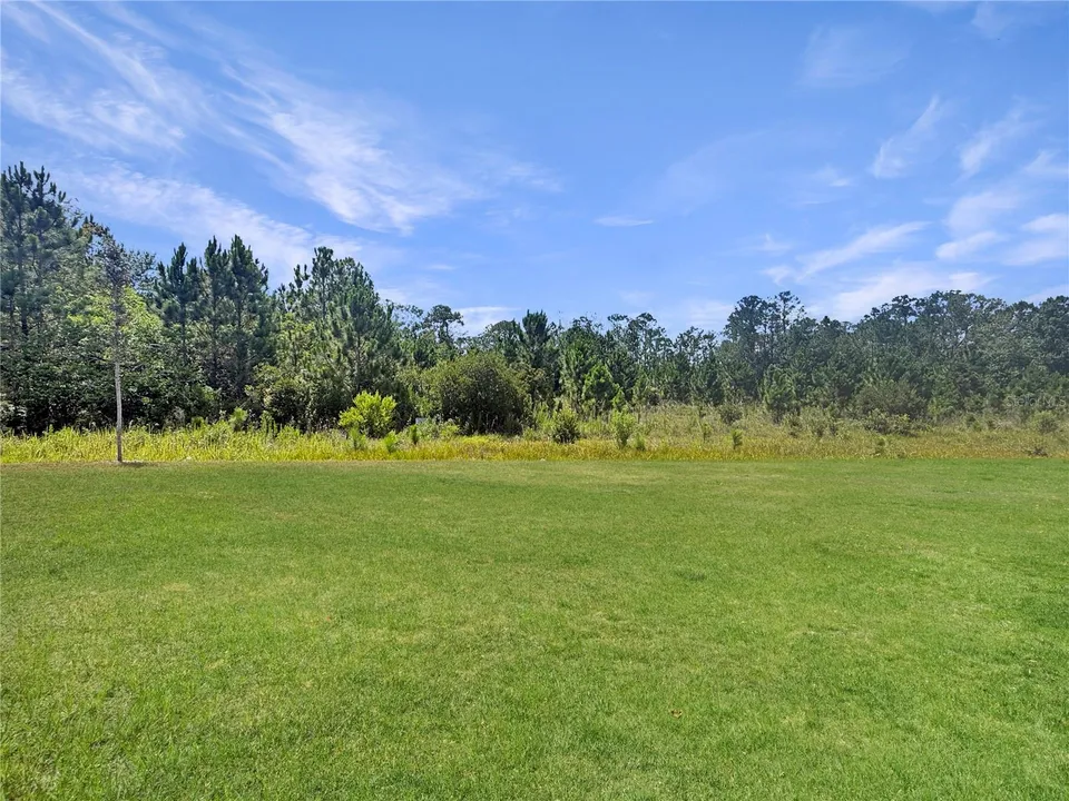 7612 BENT TREE LOOP, photo 17