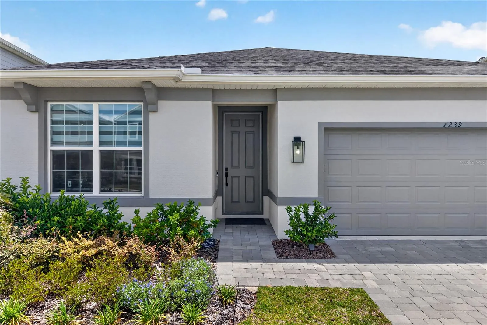 7239 IVY TENDRIL AVE, photo 2