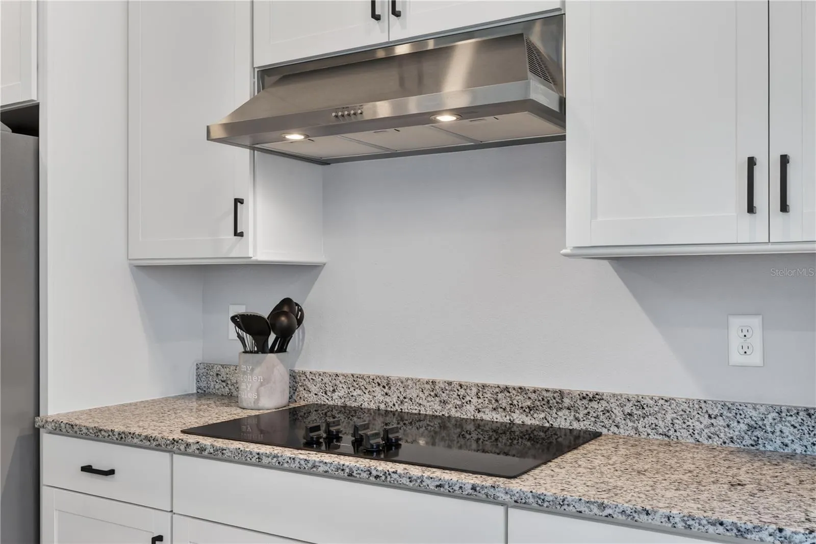 7239 IVY TENDRIL AVE, photo 5