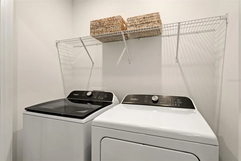 221 SPINDLE PALM CV, photo 18