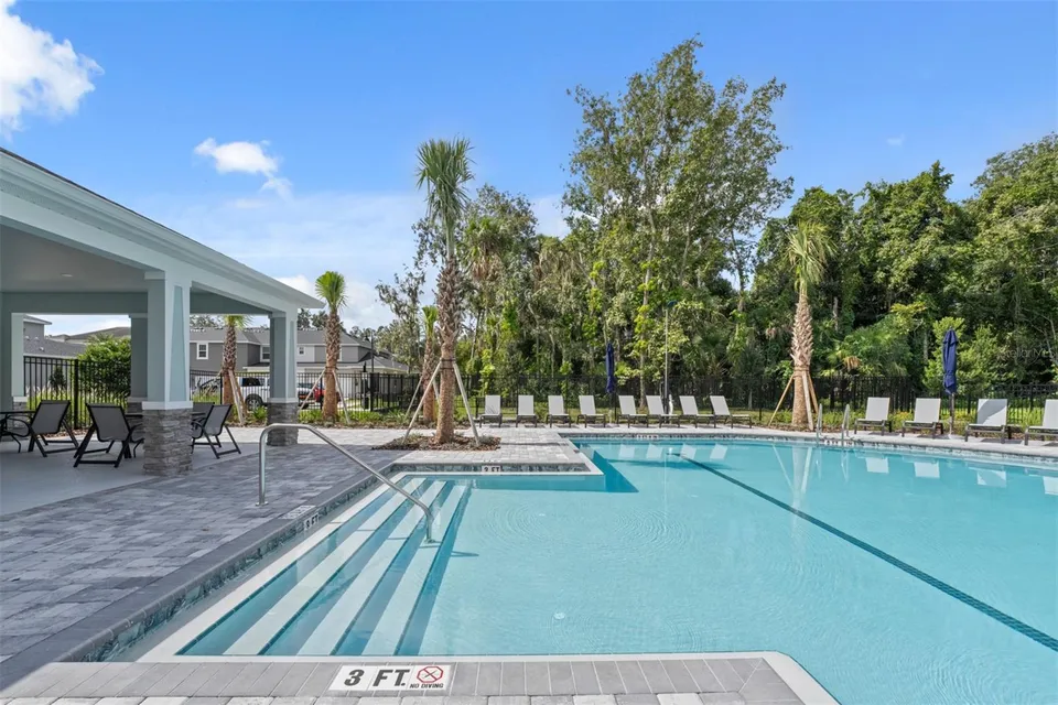 221 SPINDLE PALM CV, photo 23