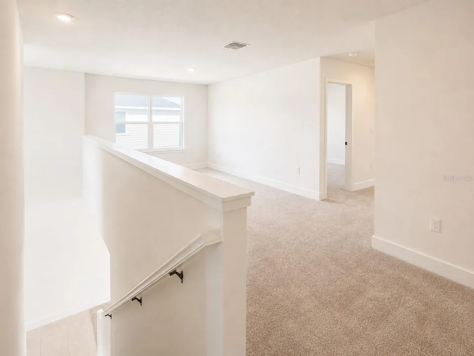 3626 BRIARLYNNE WAY, photo 14