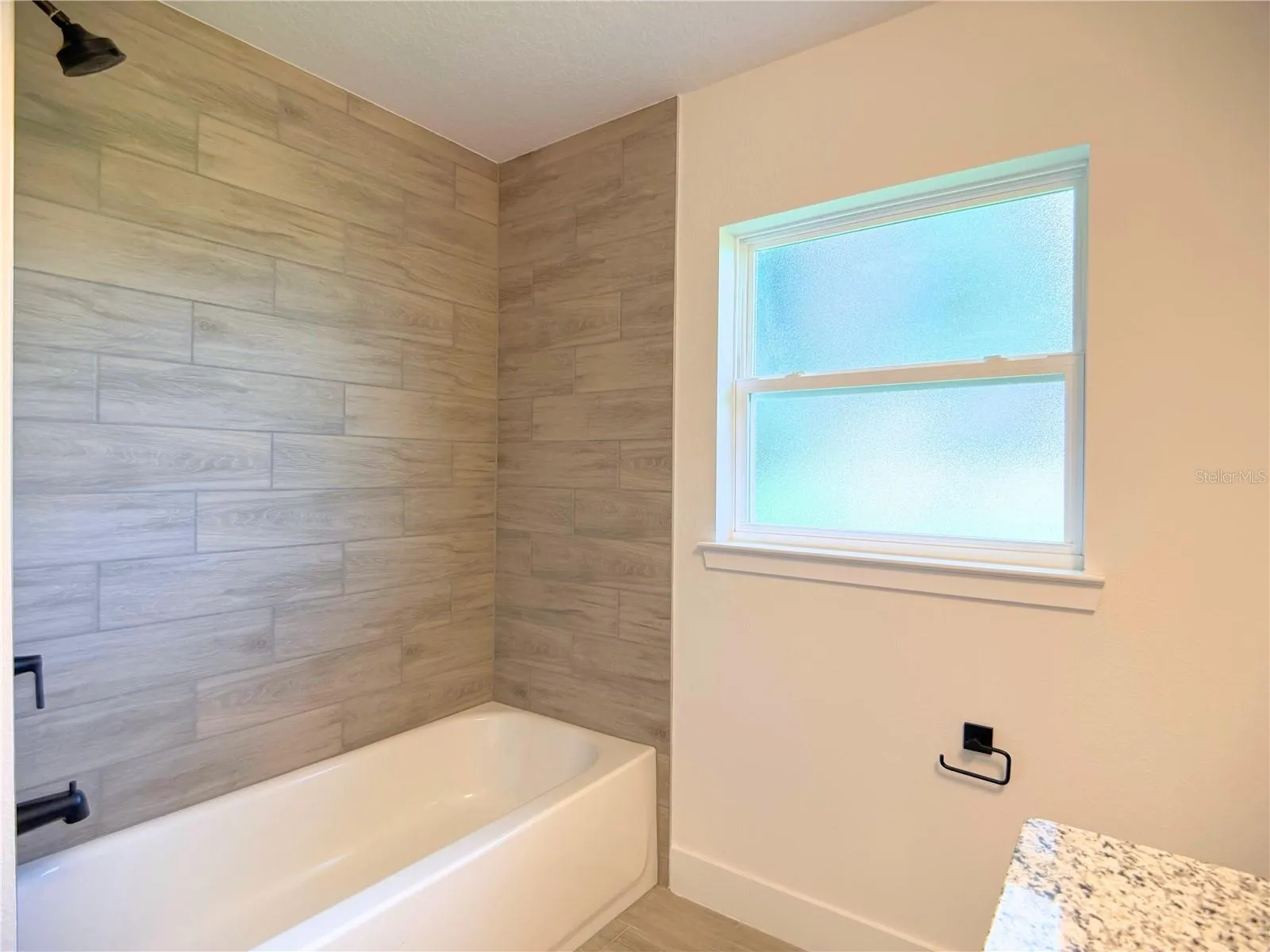 36893 HIDDEN VIEW CIRCLE, photo 17