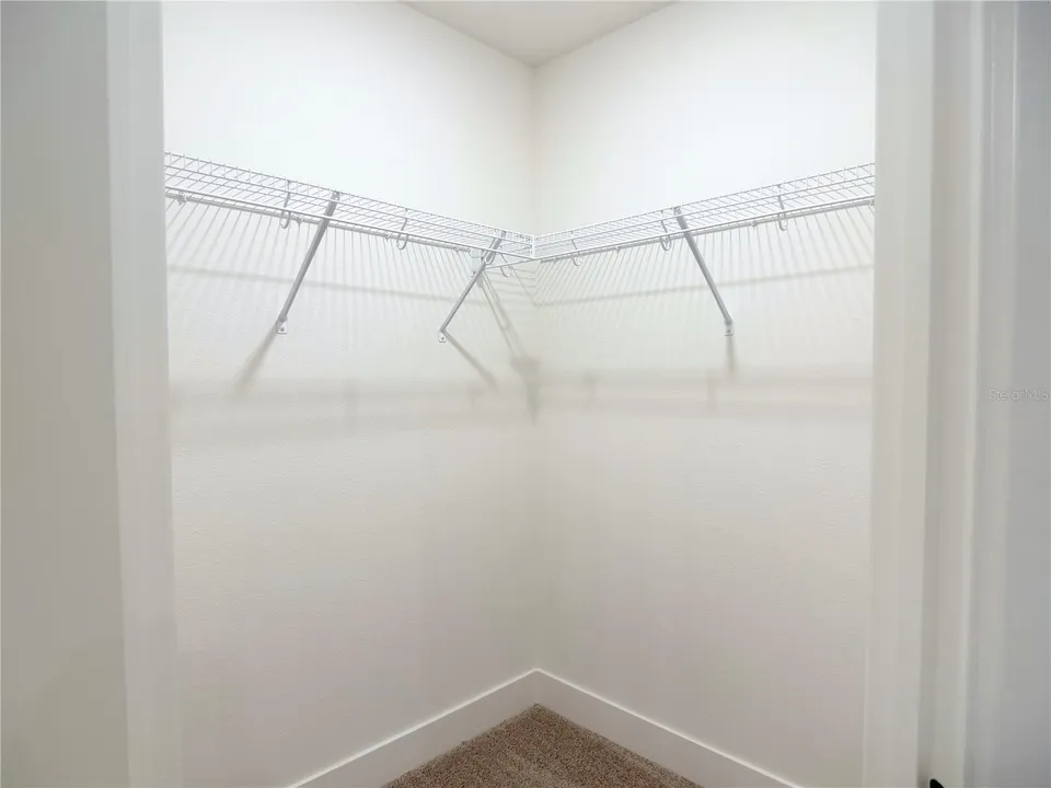 36893 HIDDEN VIEW CIRCLE, photo 18