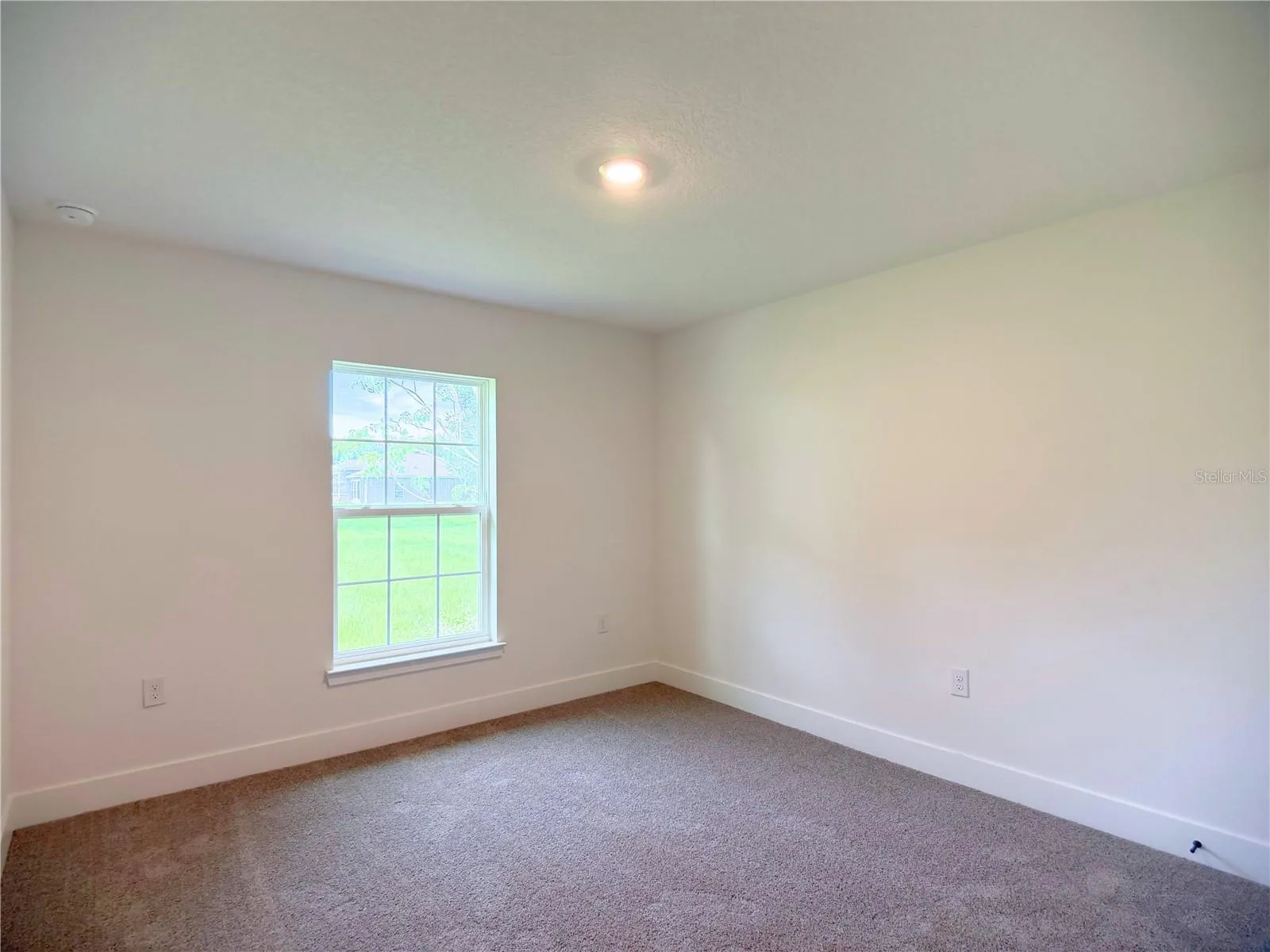 36893 HIDDEN VIEW CIRCLE, photo 23