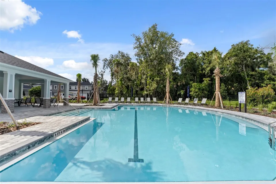 233 SPINDLE PALM CV, photo 20