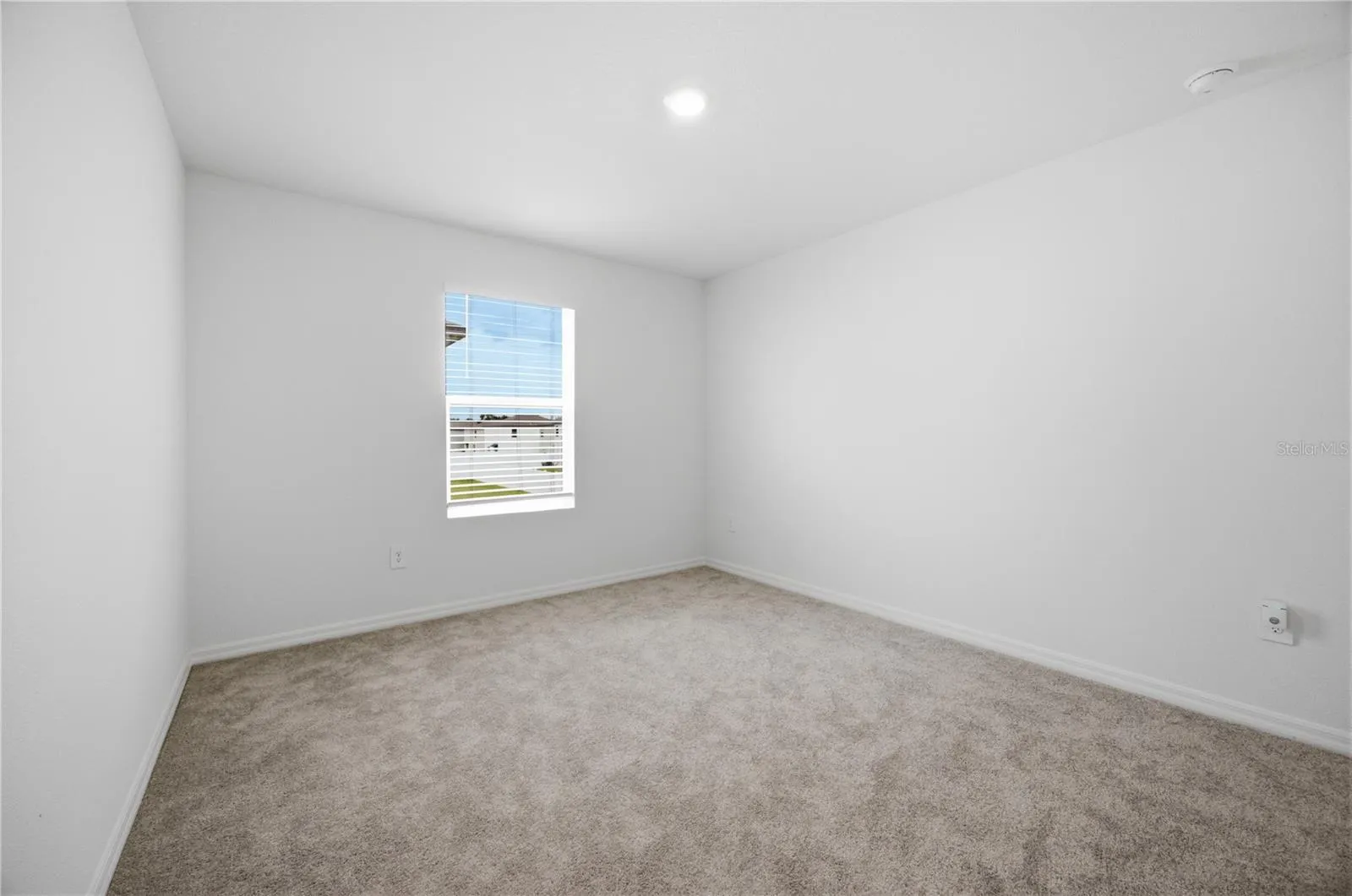 641 BALD CYPRESS DR, photo 23