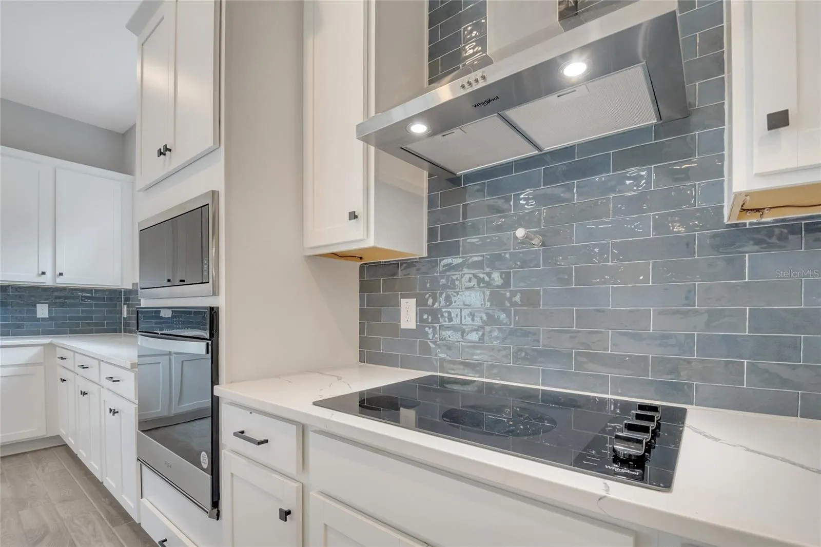 19062 BLUELEAF ST, photo 3