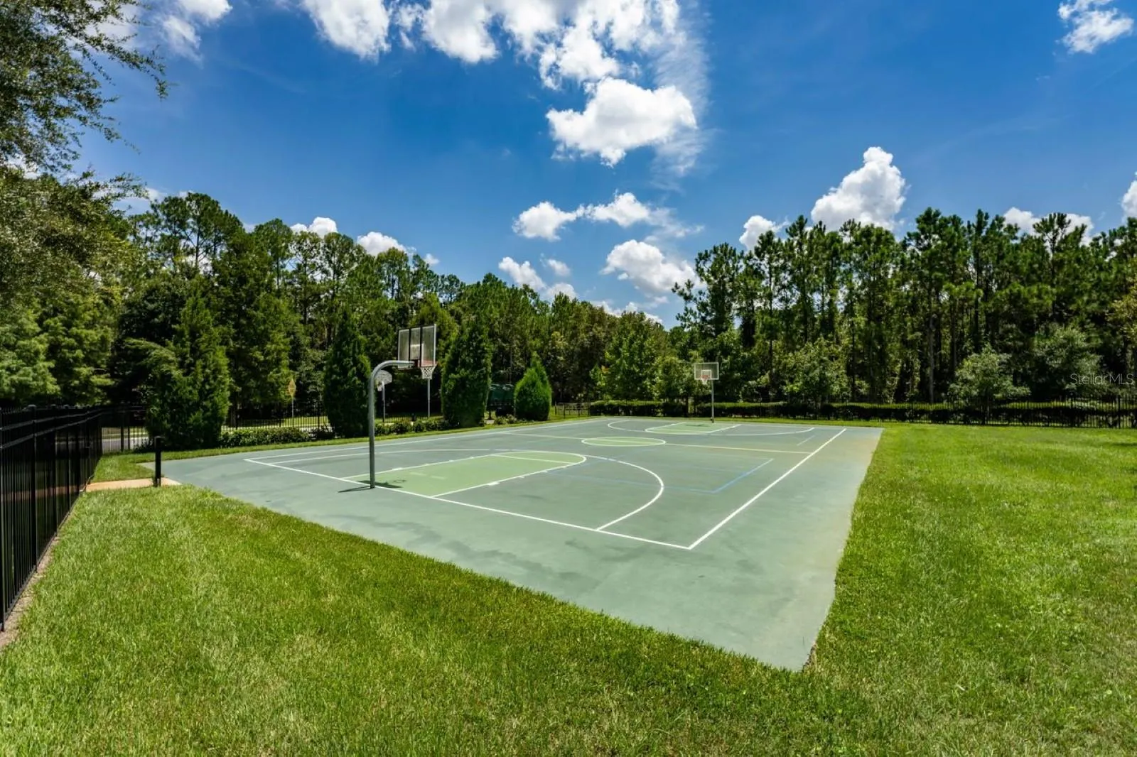 34424 BLUE ASH CT, photo 34