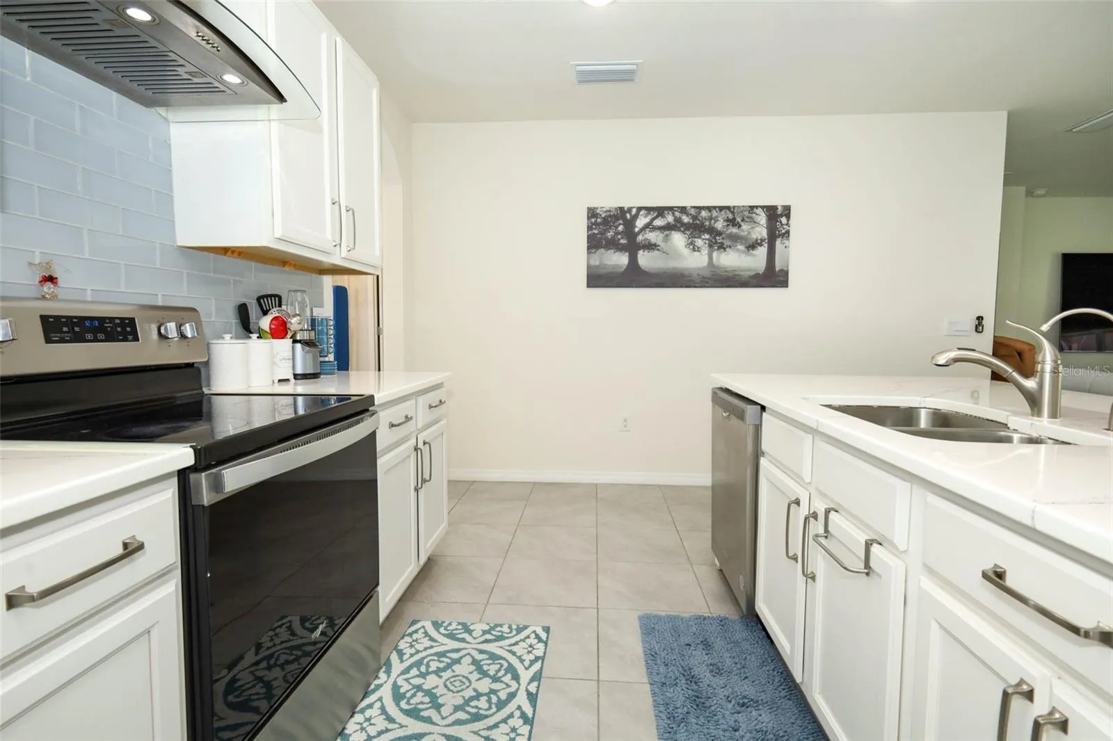 3781 SWANFALLS TER, photo 10
