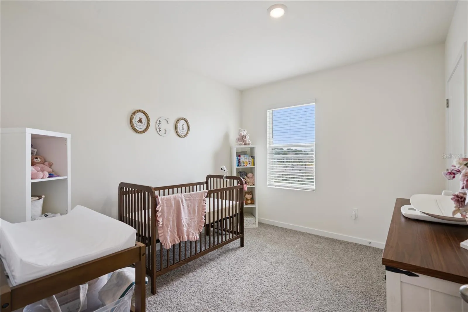3918 ROYAL AZALEA WAY, photo 27