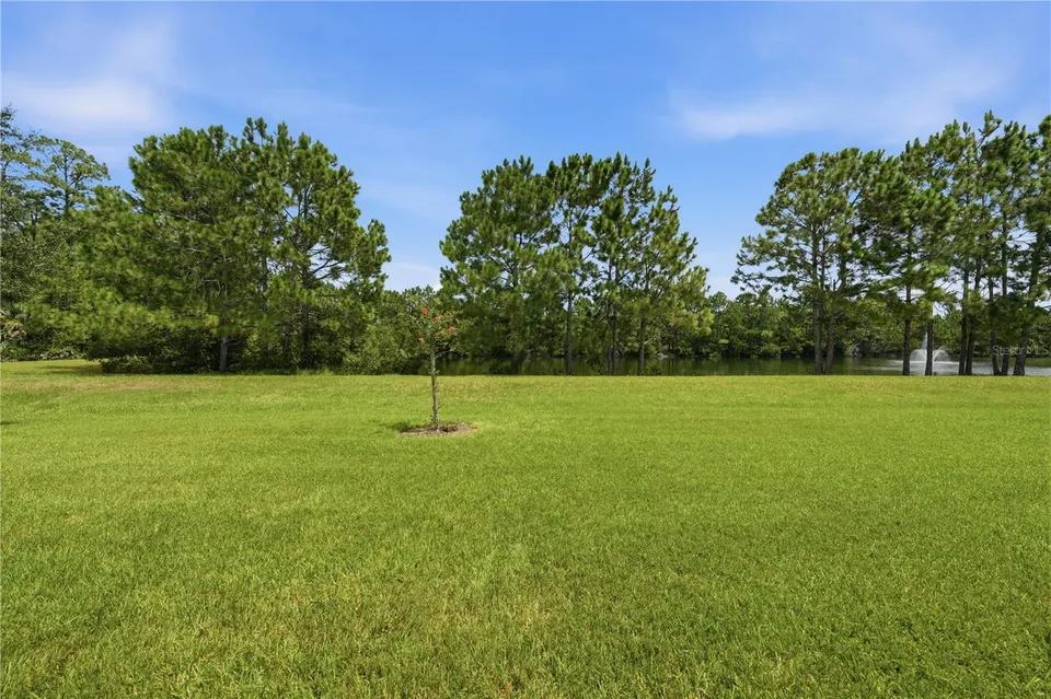1031 KILKENNY LN, photo 42