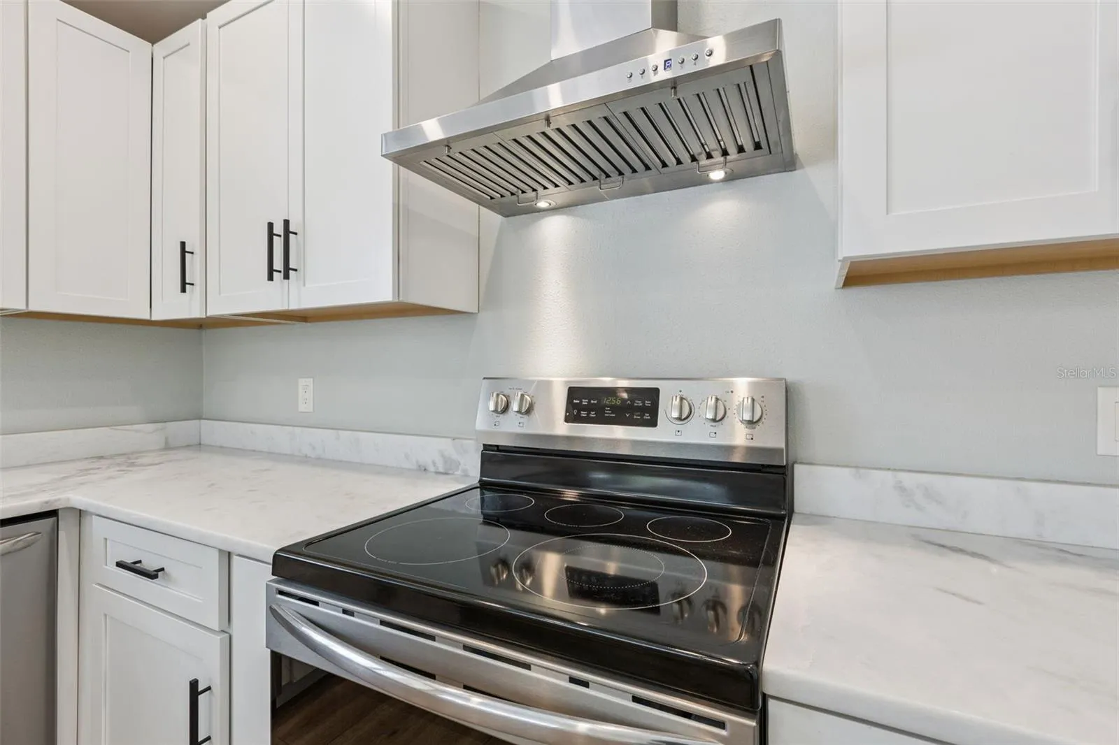 1004 VINEYARD CT, photo 20