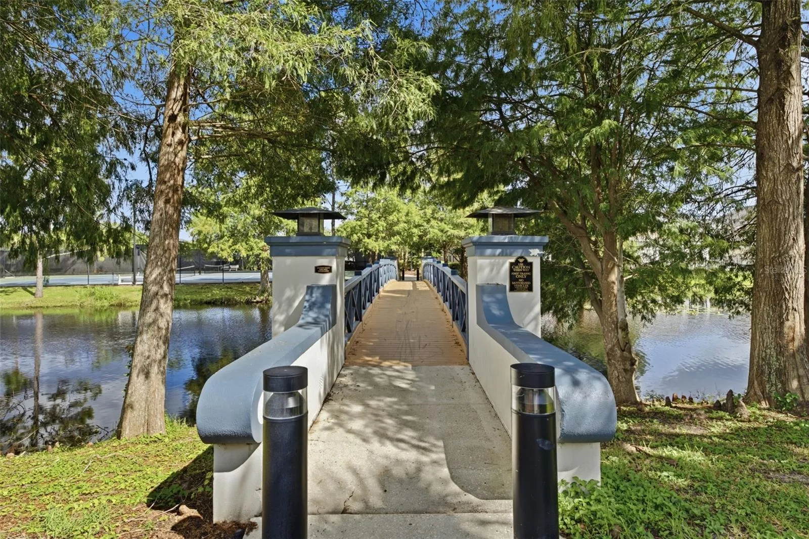 10438 GREEN LINKS DR, photo 45