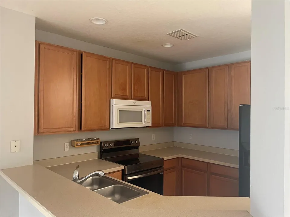9385 JASMINE FLOWER LN #167, photo 15