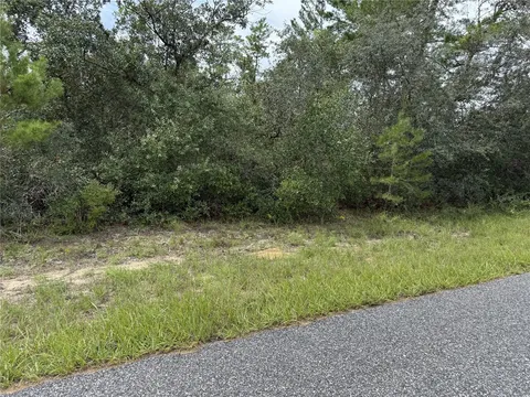 4282 W THRUSH DR, CITRUS SPRINGS, FL 34433