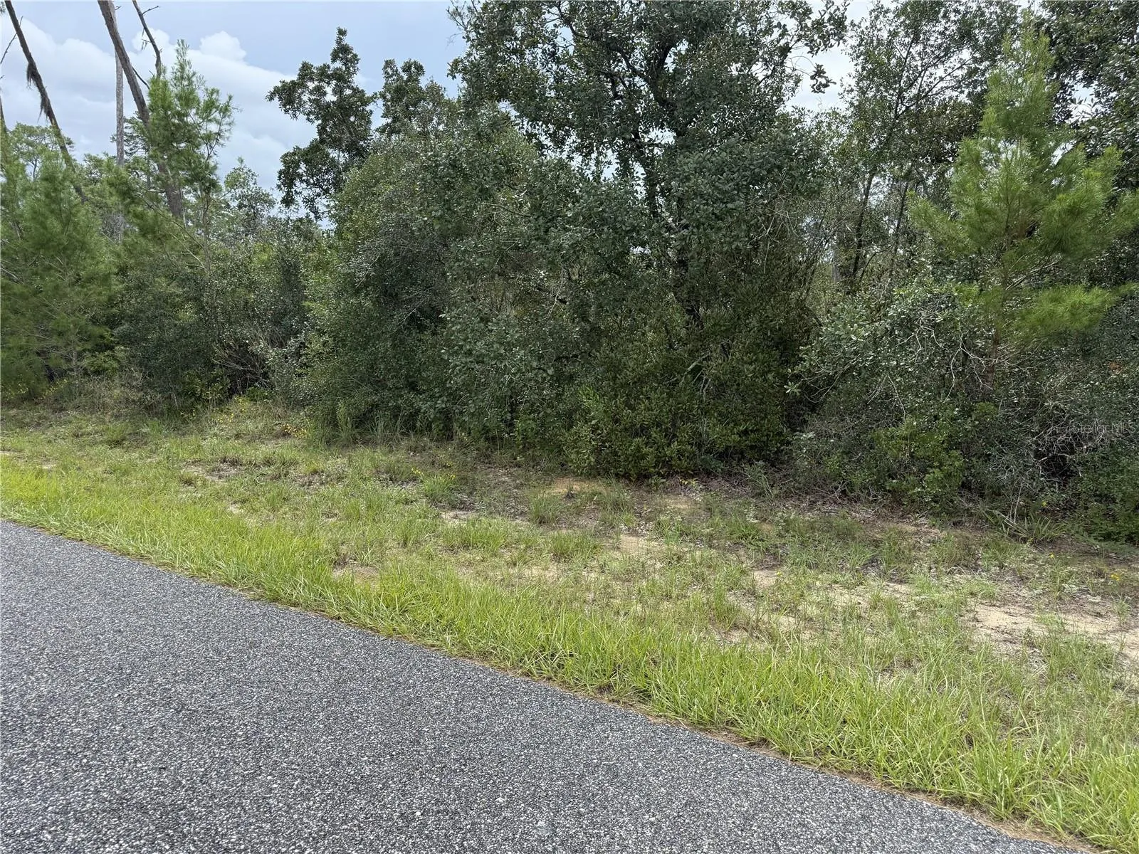 4282 W THRUSH DR, photo 2