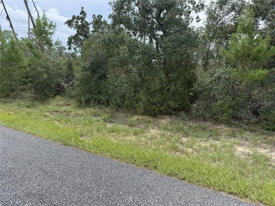 4282 W THRUSH DR, photo 2