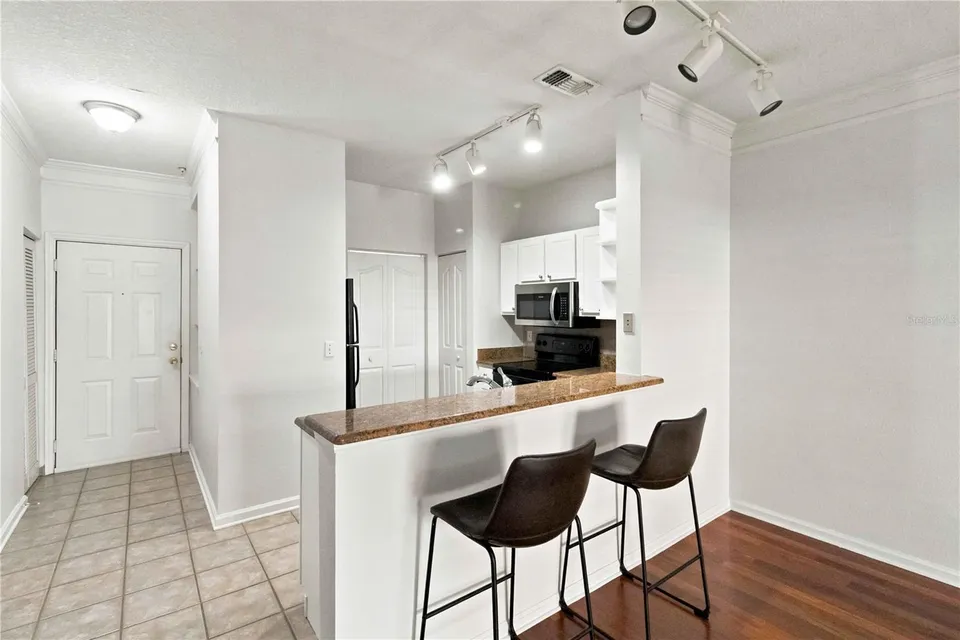 4207 S DALE MABRY HWY #1104, photo 5