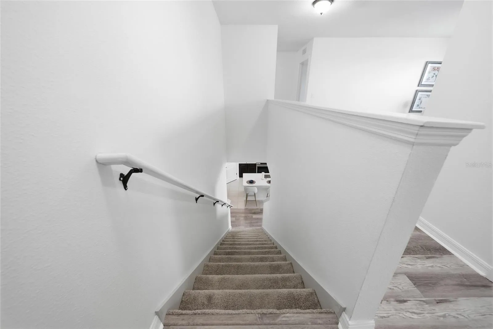 10019 GEESE TRAIL CIR, photo 16