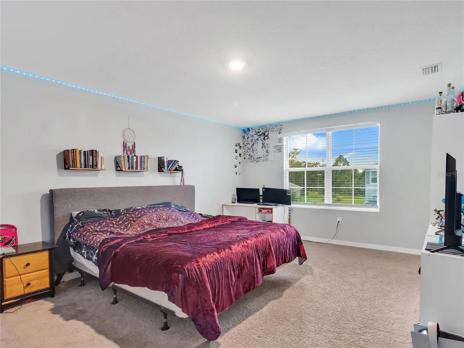 16636 WINDMILL FORGE PASS, photo 28