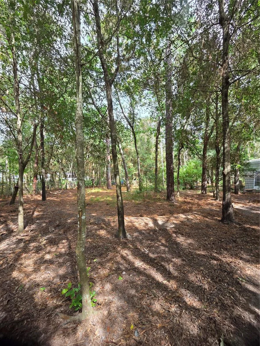 2089 S SUNWOOD PT, photo 21