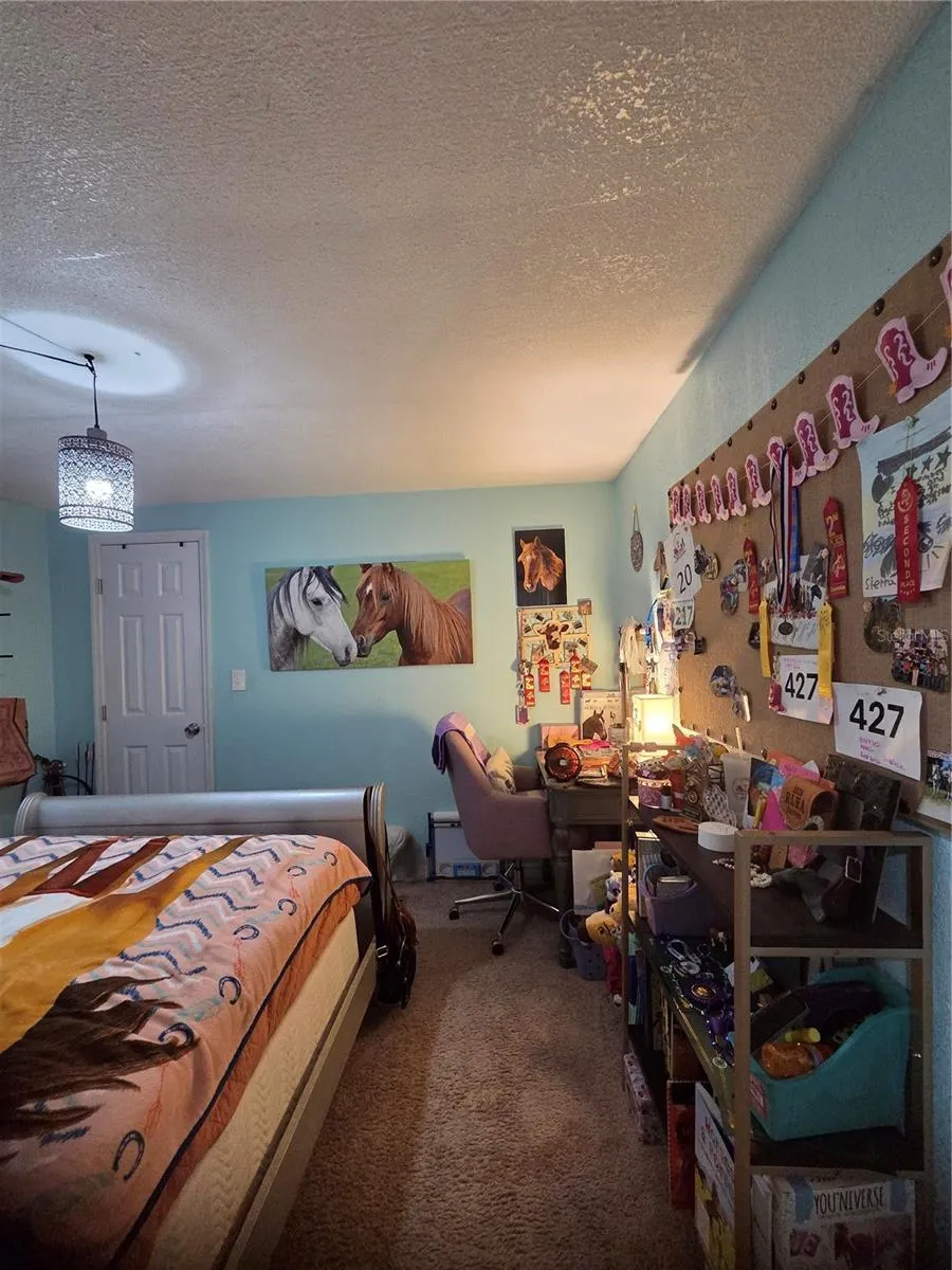 2089 S SUNWOOD PT, photo 46