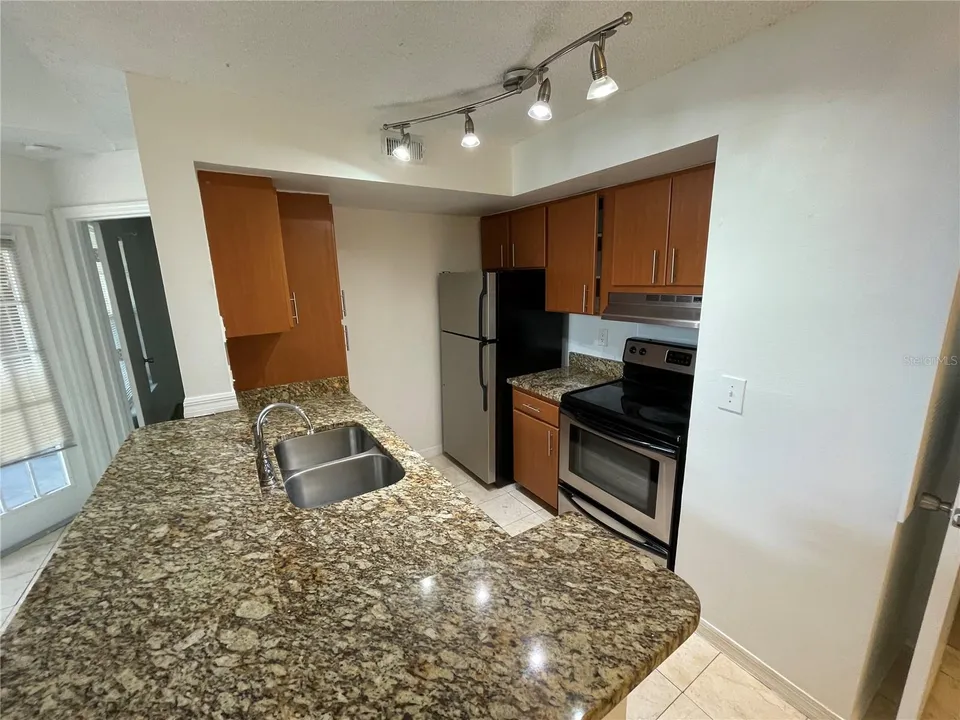 409 FOUNTAINHEAD CIR #234, photo 3